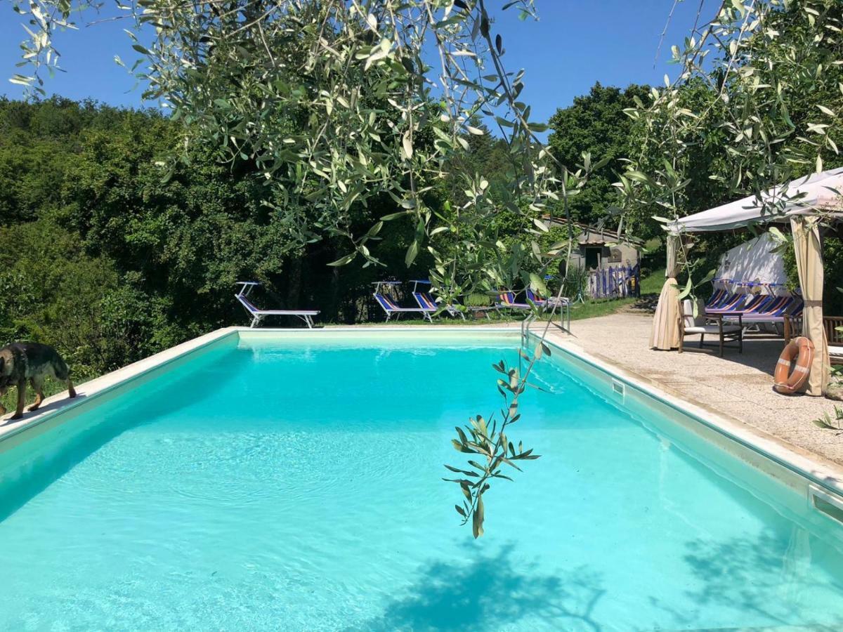 Ala Di Maniero In Agriturismo Valdrago In Toscana, Nel Verde Mugello Sulle Colline Di Firenze Borgo San Lorenzo Exterior photo